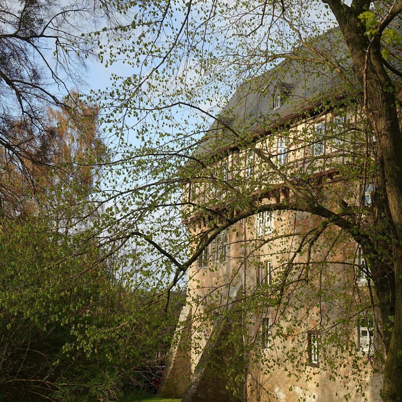 Burg Suedwesten Fruehling Burg Suedwesten Fruehling