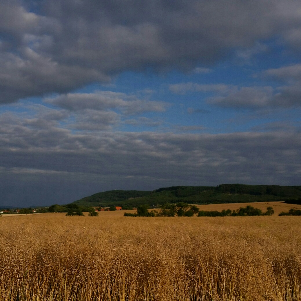 Burg und Felder Burg und Felder